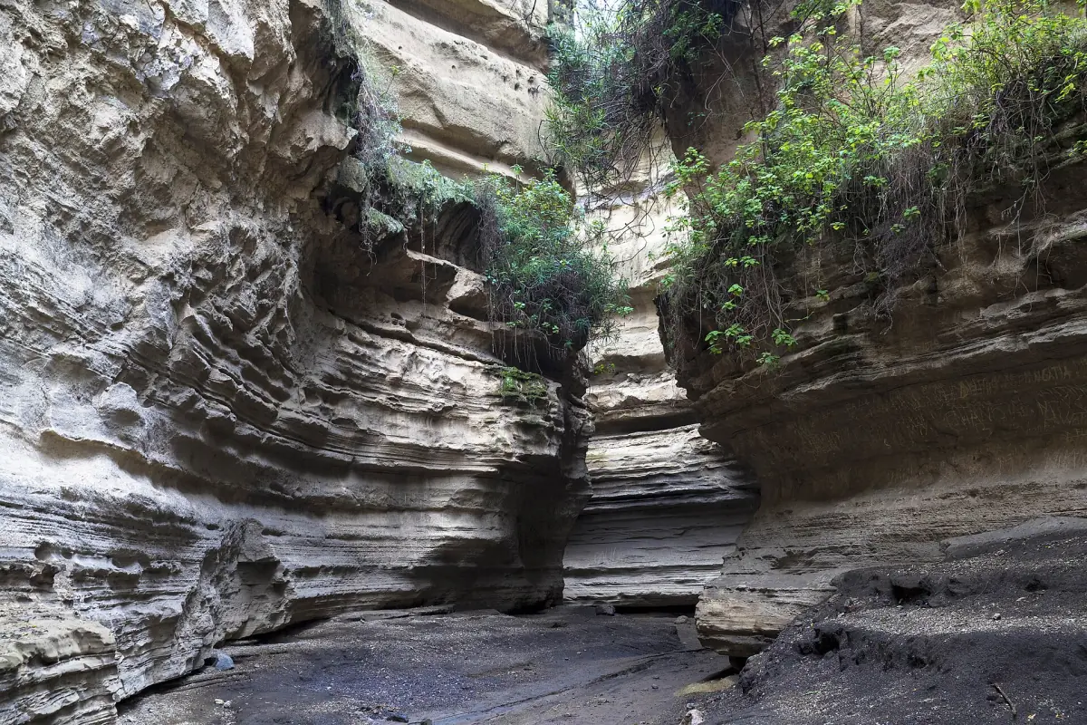 Layered gorge walls with green vegetation clinging to the rock near Naivasha