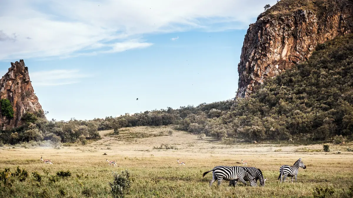 Zebras grazing on the plain below Fischer's Tower and the cliffs in Hell's Gate